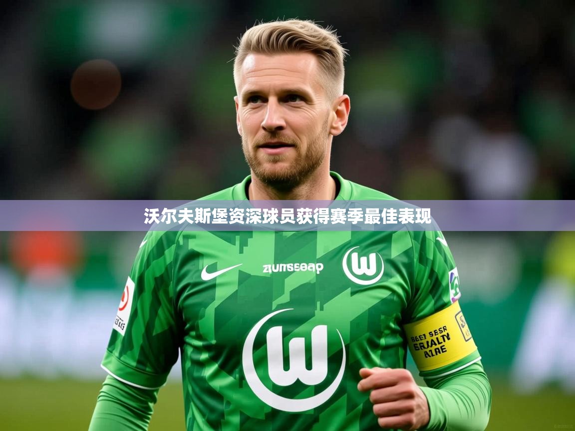 2026华体会登录最新地址沃尔夫斯堡资深球员获得赛季最佳表现  第2张