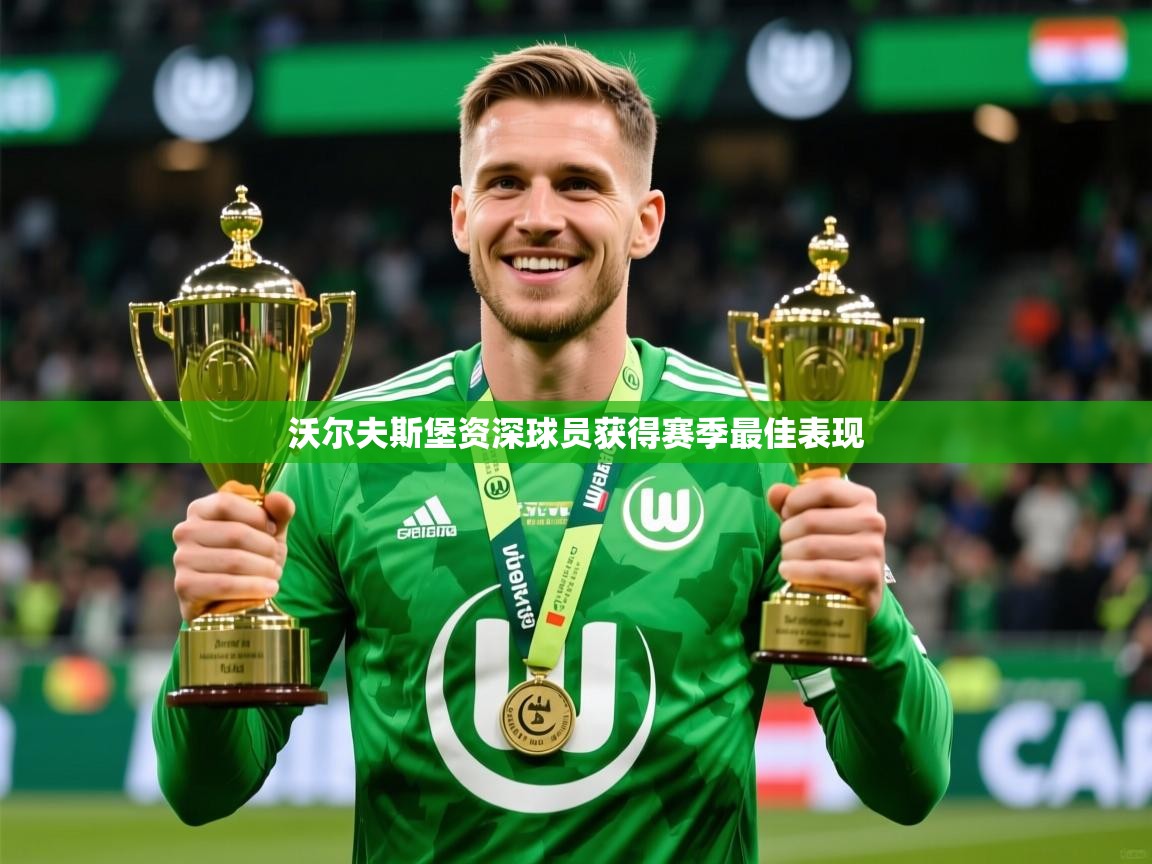 2026华体会登录最新地址沃尔夫斯堡资深球员获得赛季最佳表现  第3张